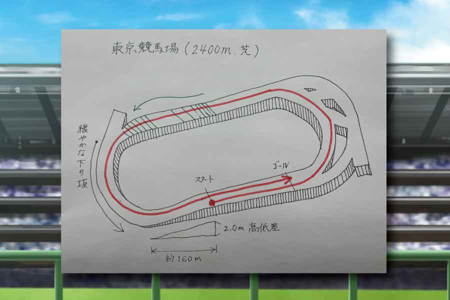 府中2400m。コース説明