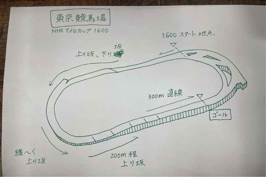 東京競馬場NHKマイルカップコース説明