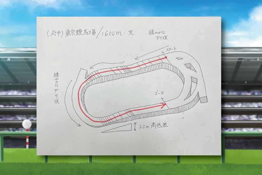 府中マイル1600m_コース説明