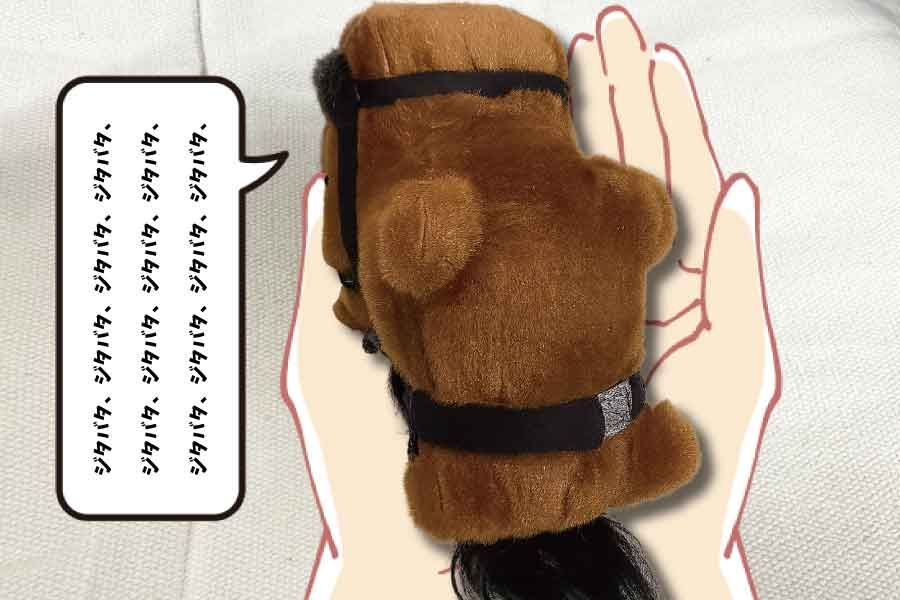 べラジオオペラ_あんよ