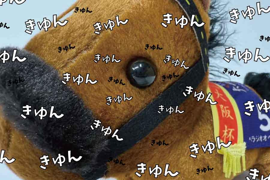 べラジオオペラぬいぐるみの進化したお目々