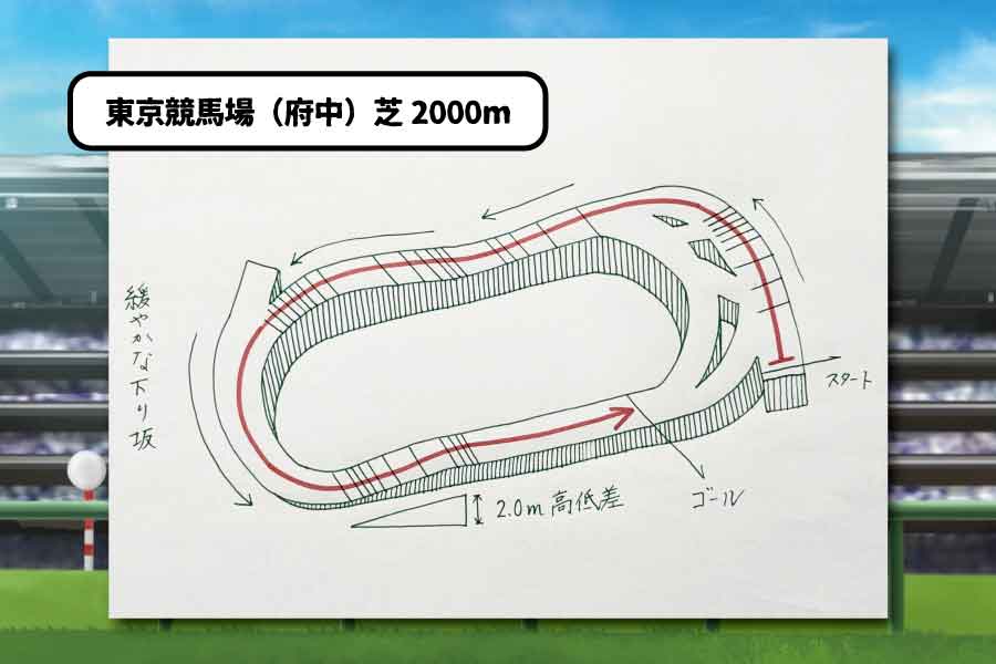 府中芝2000mコース説明