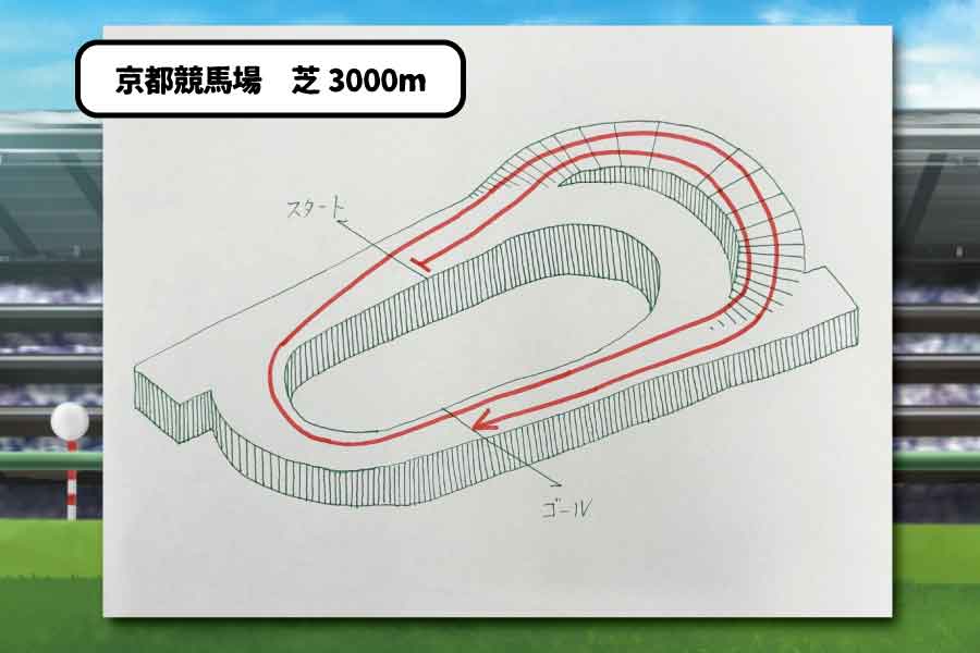 京都競馬場・芝3000m