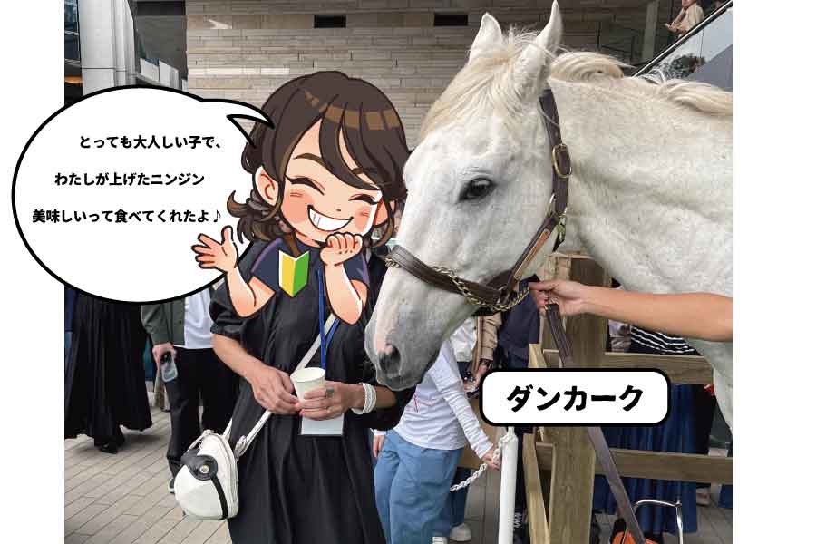 ダンカークの餌やり体験