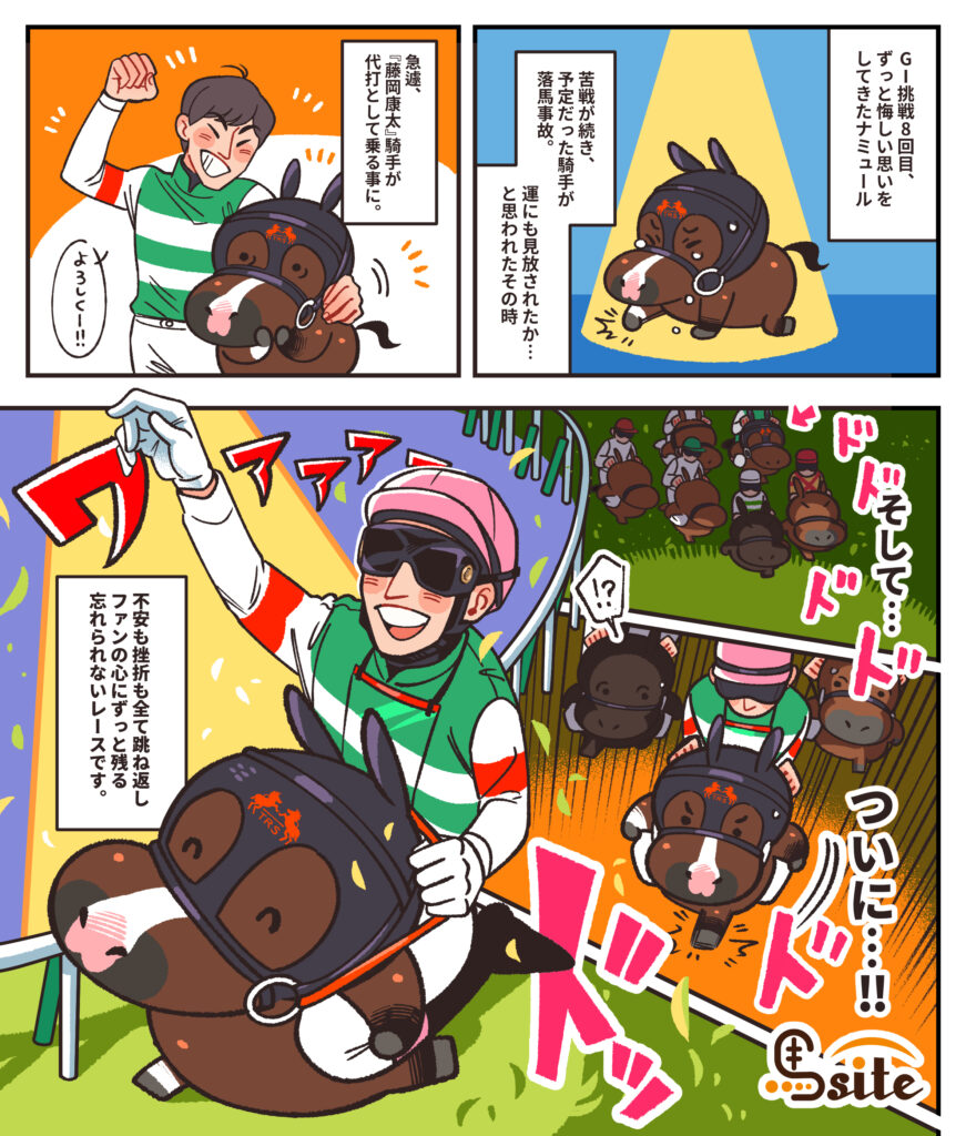 ナミュール藤岡騎手の物語