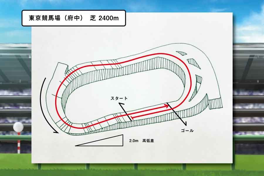 府中　コース説明